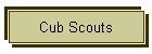 Cub Scouts